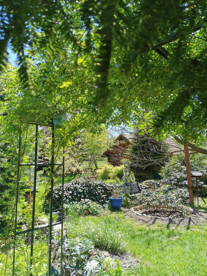 Agroturystyka W Ogrodach Sanok Dış mekan fotoğraf